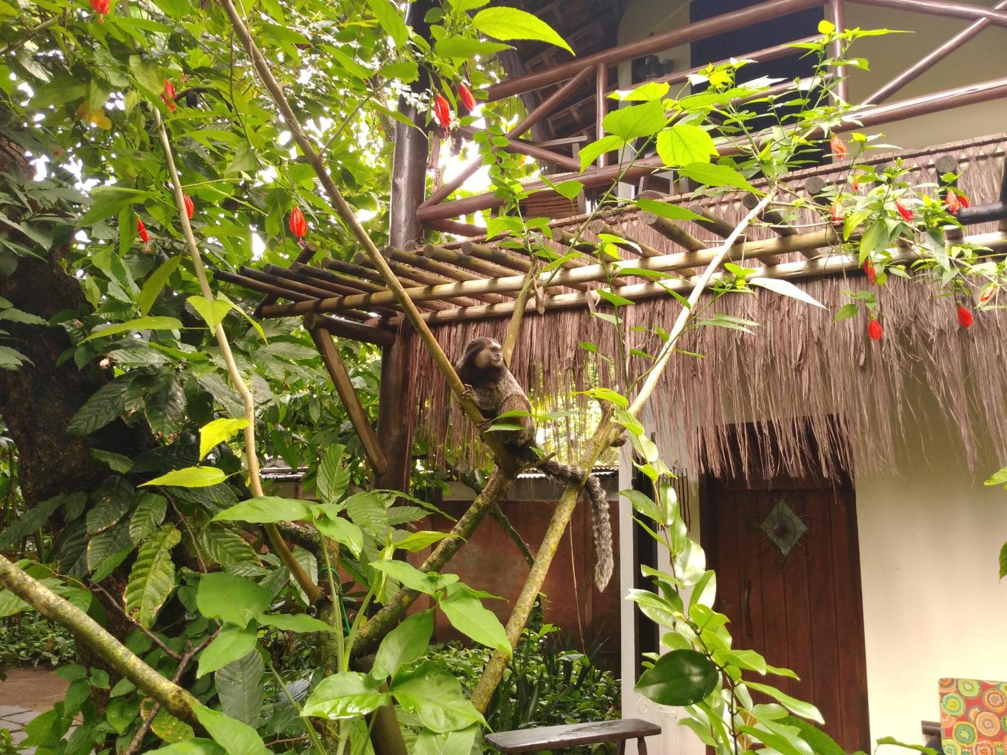 Pousada Fruta Pao Hotel Barra Grande  Luaran gambar